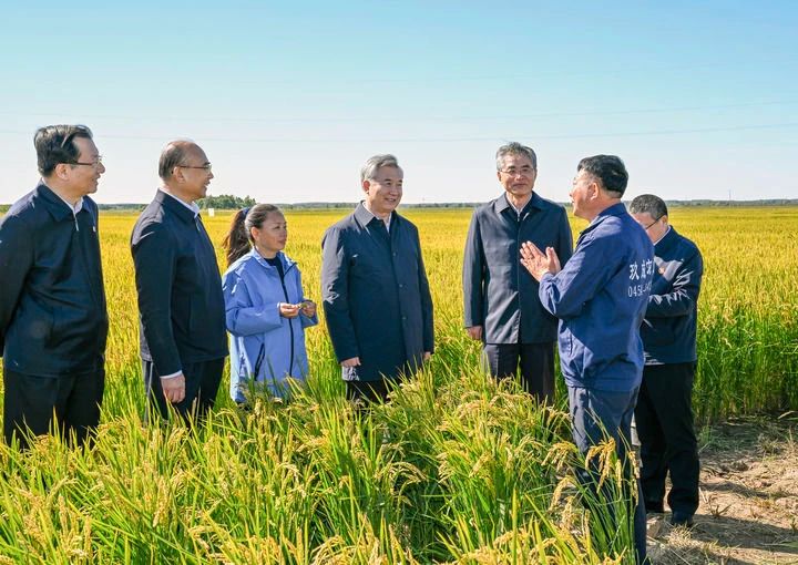 微信图片_20240918084052.jpg 微信图片_20240918084052.jpg